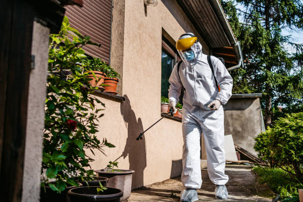 Best Best Pest Control Companies  in Beaufort, SC