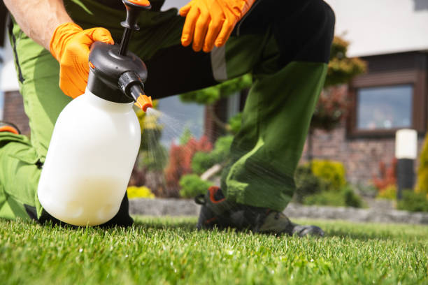 Best Pest Removal Services  in Beaufort, SC
