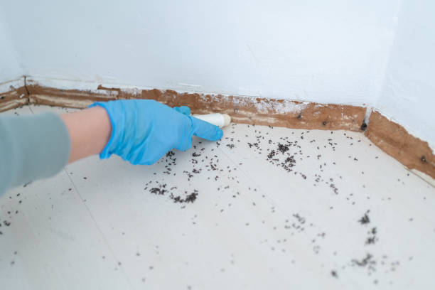 Best Commercial Pest Control Services  in Beaufort, SC